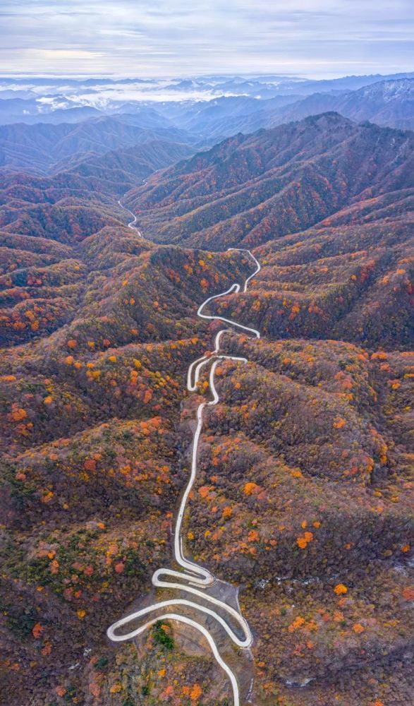 留坝人口_留坝最美乡村公路