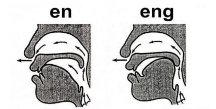 我们知道所谓"真声"是从我们口腔发出来的,"假声"从鼻腔发出来,因为