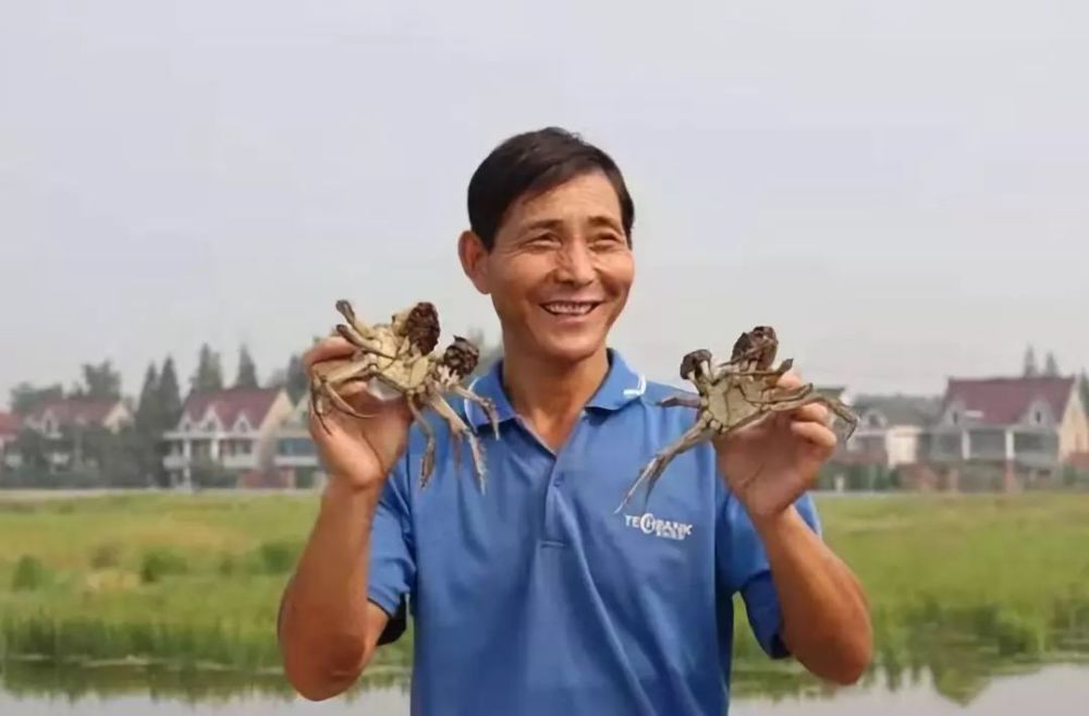 如皋九华镇的GDP_如皋九华镇控规图(2)