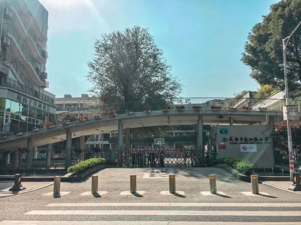 成都市龙江路小学 实景图