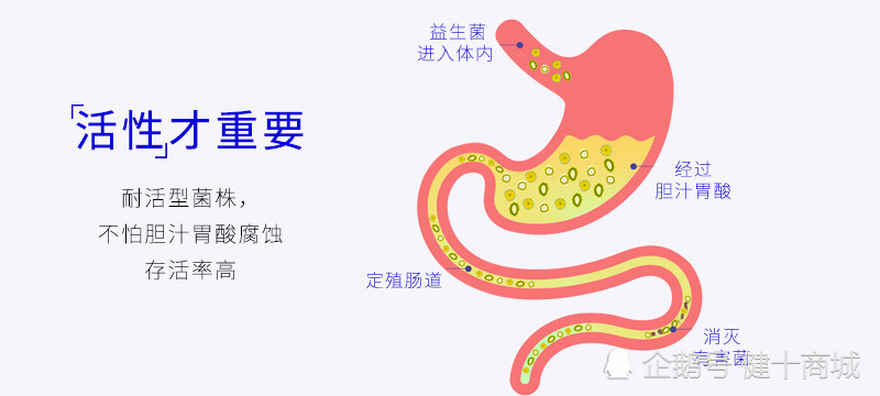 益生菌活性有效果