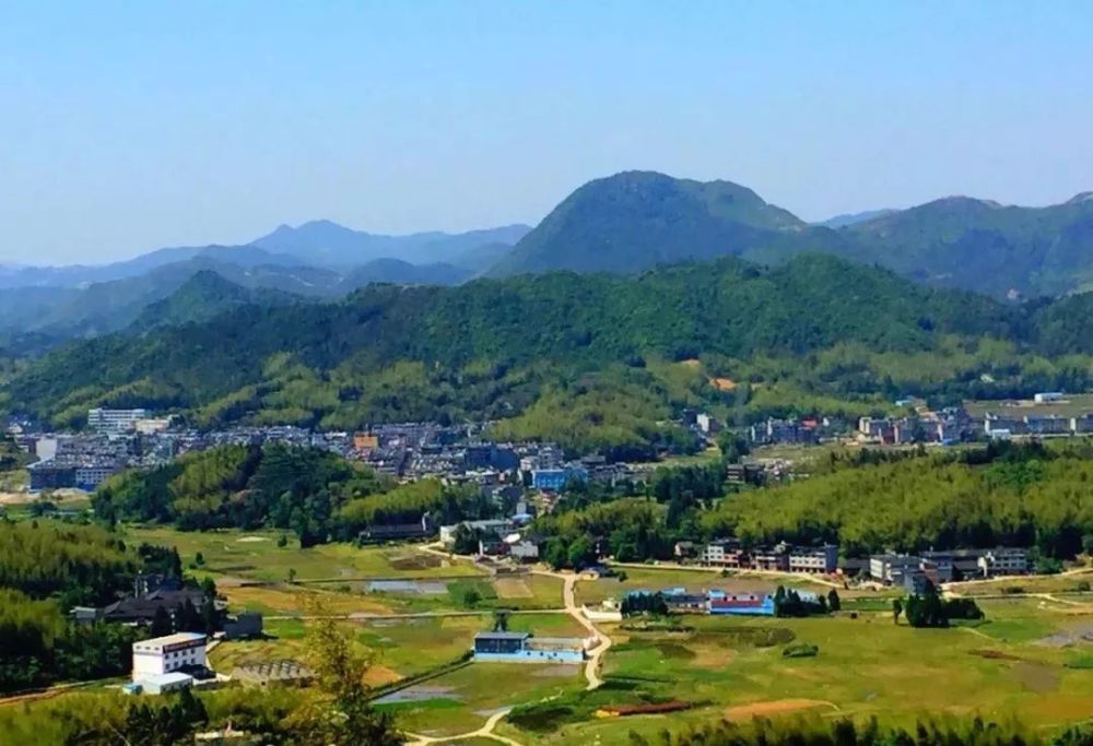福鼎管阳白茶:来自高山的味道