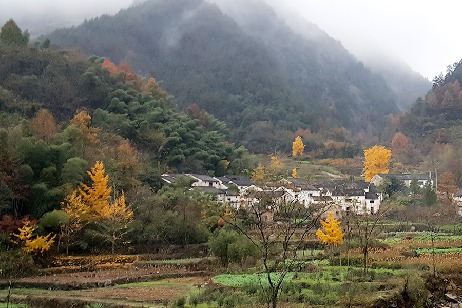 让人流连忘返的安徽绩溪县美丽的秋天景色