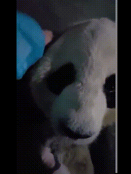搞笑动图:你在凝视深渊的时候,深渊也在凝视你