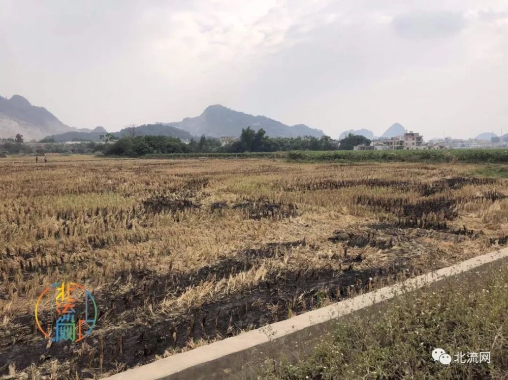 永州芳田里村人口_湖南永州塘背村