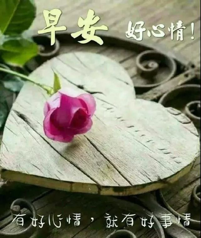 早晨特别漂亮的早上好图片发朋友圈,早上好问候语动画表情图片