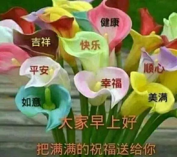 早上好暖心图片大全唯美句子 早上好动态表情图片合集祝福话