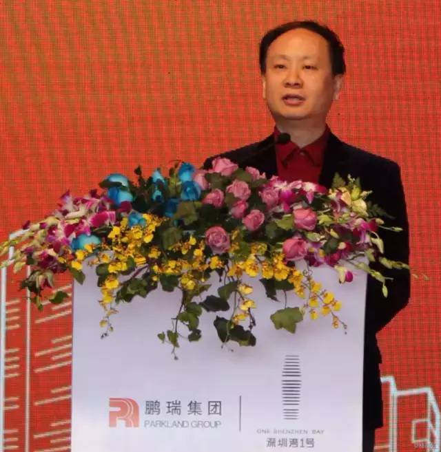 徐航本来有两次机会,可以再造深圳湾1号的辉煌:一是成功开发了汤臣