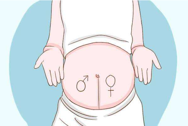 第一种说法:肚脐上面部分较浅延续到乳房,下面的部分较黑偏粗,那生