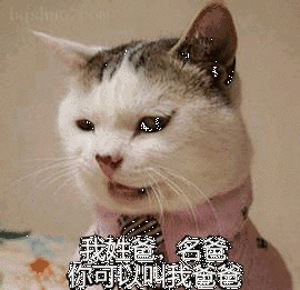 叫我爸爸表情包:我姓爸,名爸,你可以叫我爸爸