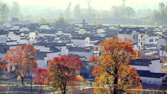 黟县人口姓氏_黟县鸟瞰图