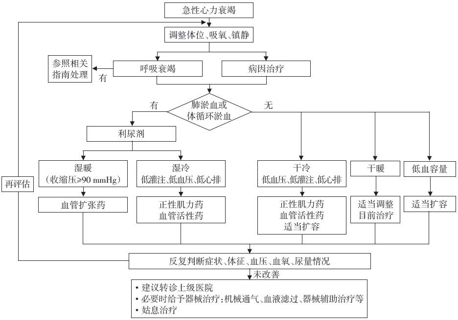 一文掌握急性心力衰竭治疗要点