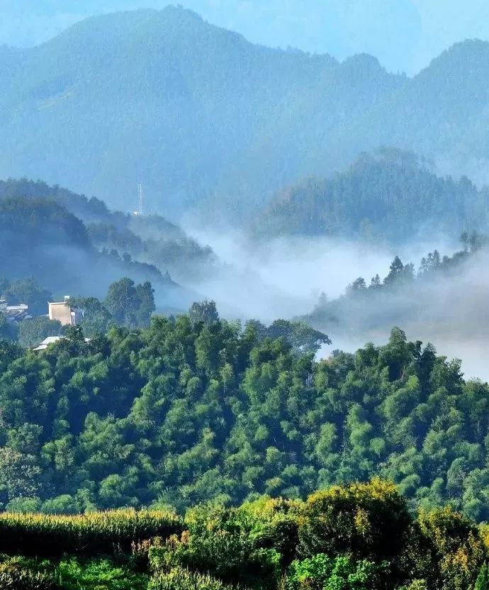 最香的酒、最贵的墨,都在藏在这个徽州
