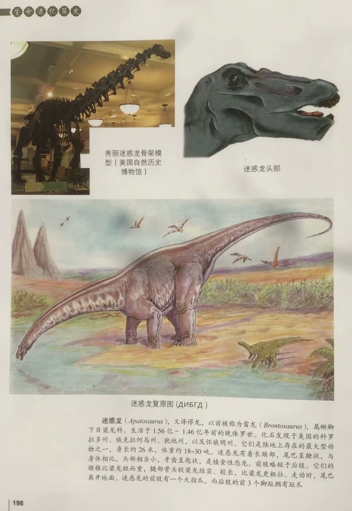 兼及恐龙的定义