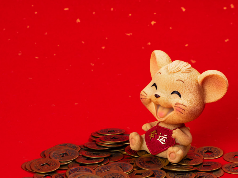 12月上旬,喜鹊叫好运来,事业乘风破浪,财运时来运转