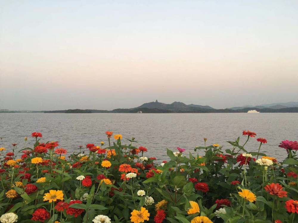 池州平天湖莲花台
