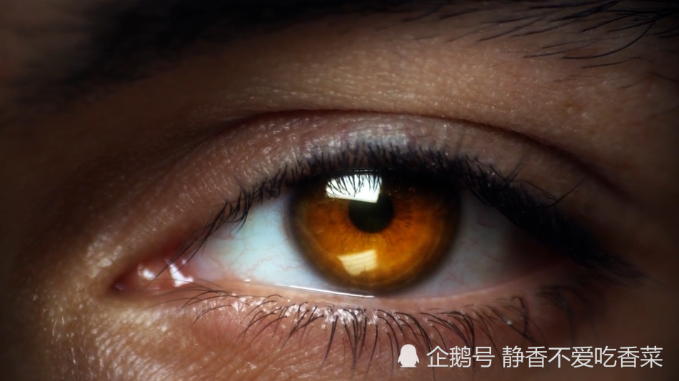 眼睛放大1000倍图片,把人放大一亿倍图片 1000倍 看完简直不敢相信自己的眼睛 视频中我们可以看到 当眼睛放大