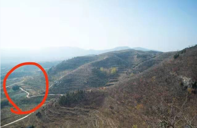顶山镇人口_剑阁县元山镇常住人口
