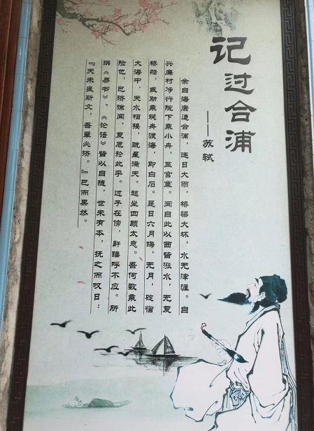 那拉提养蜂人二胡曲谱