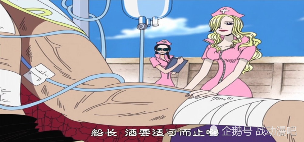 白胡子海贼团没有女性怀迪贝资历最老豹纹护士哪去了