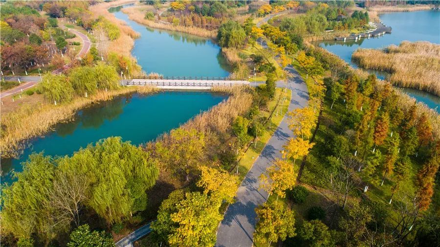 阳澄东湖省级湿地公园