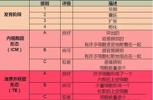 所以说试管胚胎等级与成功率的关系是非常紧密的,通过囊胚移植不仅