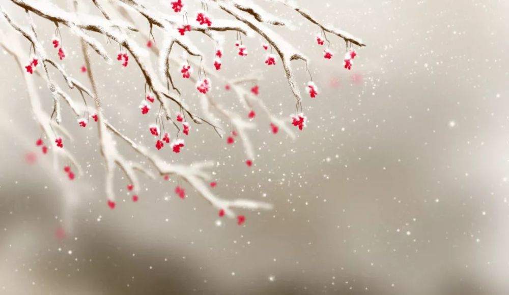 小雪雪满天,来年必丰年 每当小雪节气的到来 人们就开始盼着下雪