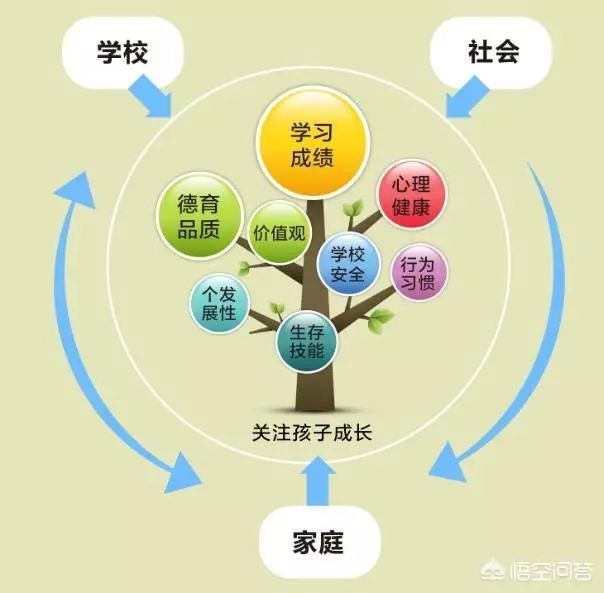 怎样的家庭教育能培养出一个优秀的孩子?