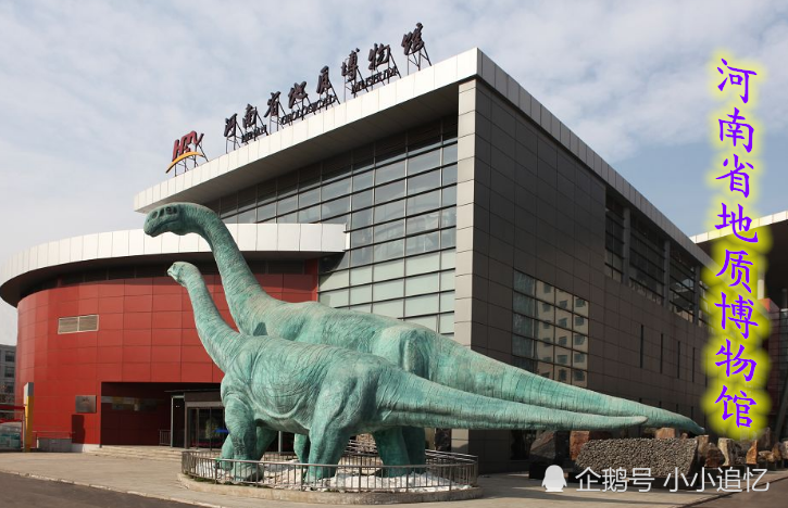在郑州参观了地质博物馆,看到了很多古老的恐龙化石和其它生物化石