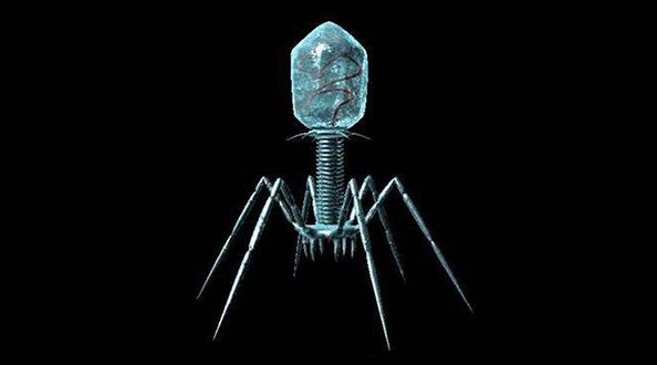 显微镜下的噬菌体看起来不像自然物种这不就是机器人吗
