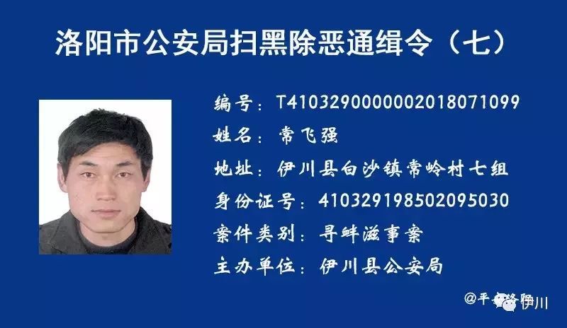 伊川这些人被公安悬赏缉捕!看到请立即报警