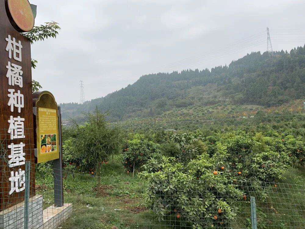 加州橘县人口(2)