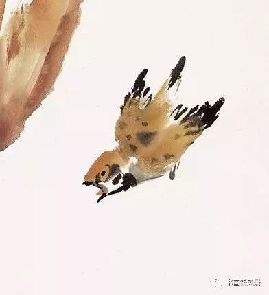 萧朗画麻雀萌呆