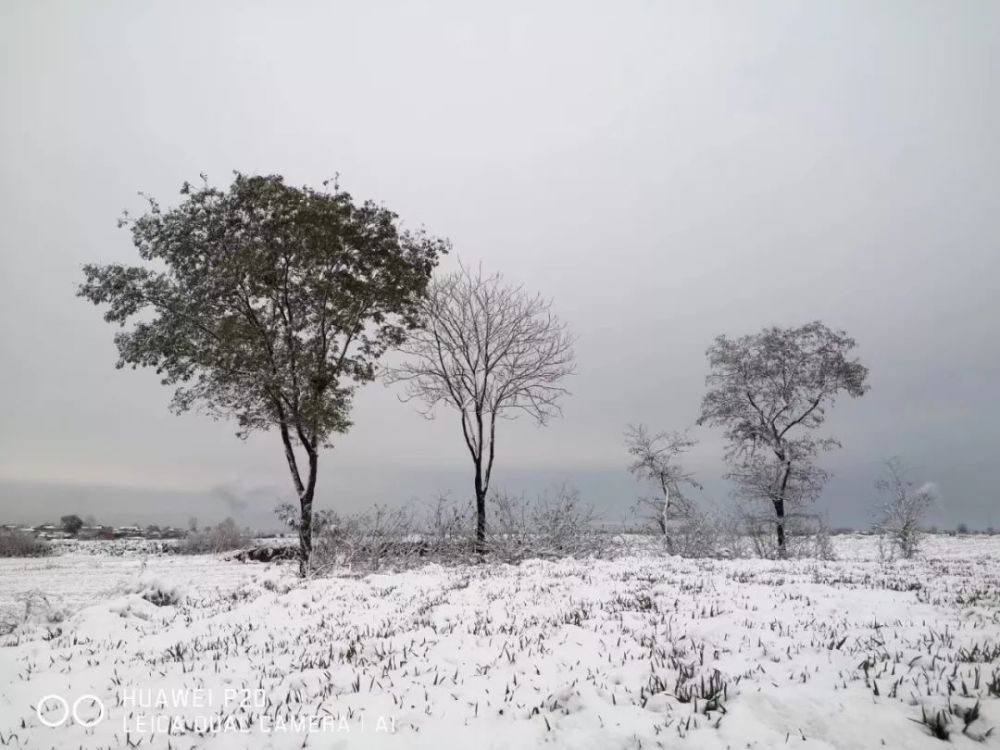 宝鸡下雪啦!你那里呢?