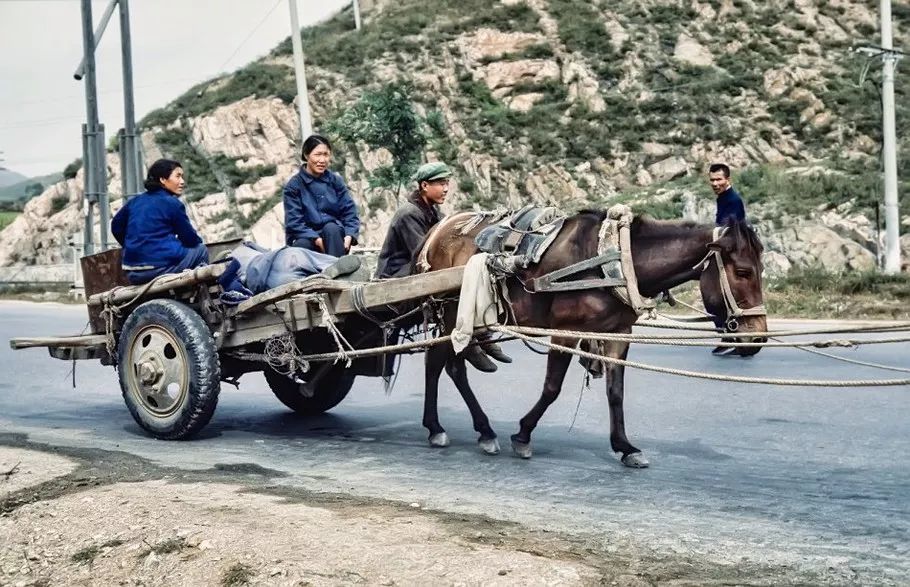 那时候的马拉车,仍然是很多西部农村地区的主要运输工具之一.