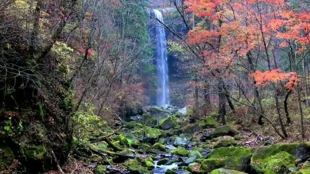 松岭雪村,位于老岭山脉深处,雪季长达半年左右.