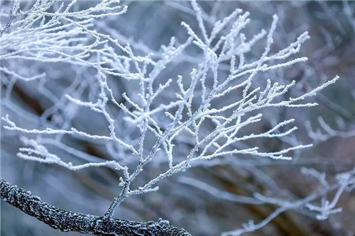 白云山迎来今冬第二场雪，唯美雪景等你来！