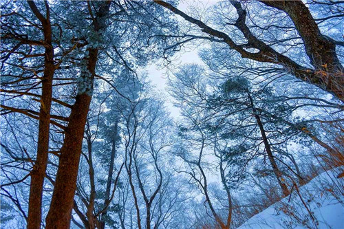 白云山迎来今冬第二场雪，唯美雪景等你来！