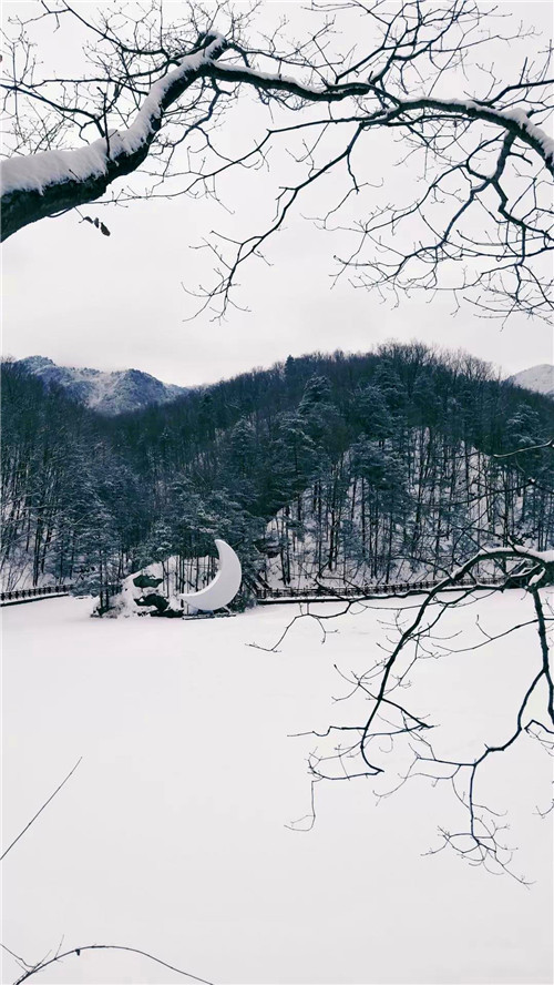 白云山迎来今冬第二场雪，唯美雪景等你来！