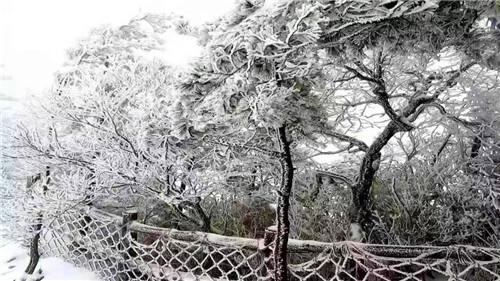 白云山迎来今冬第二场雪，唯美雪景等你来！