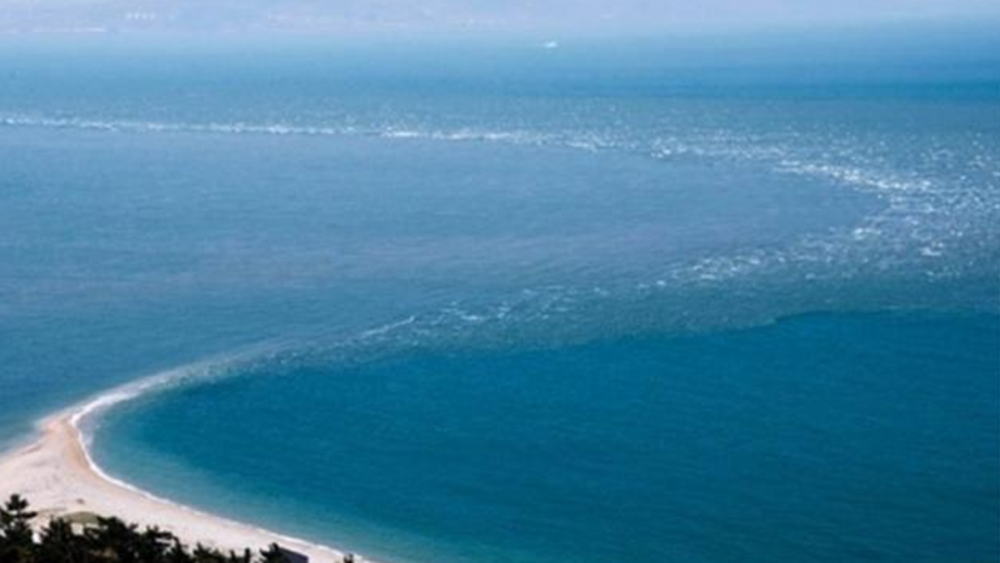 太平洋和大西洋交汇处的海水真的不会融合吗?其中的真相到底是什么?