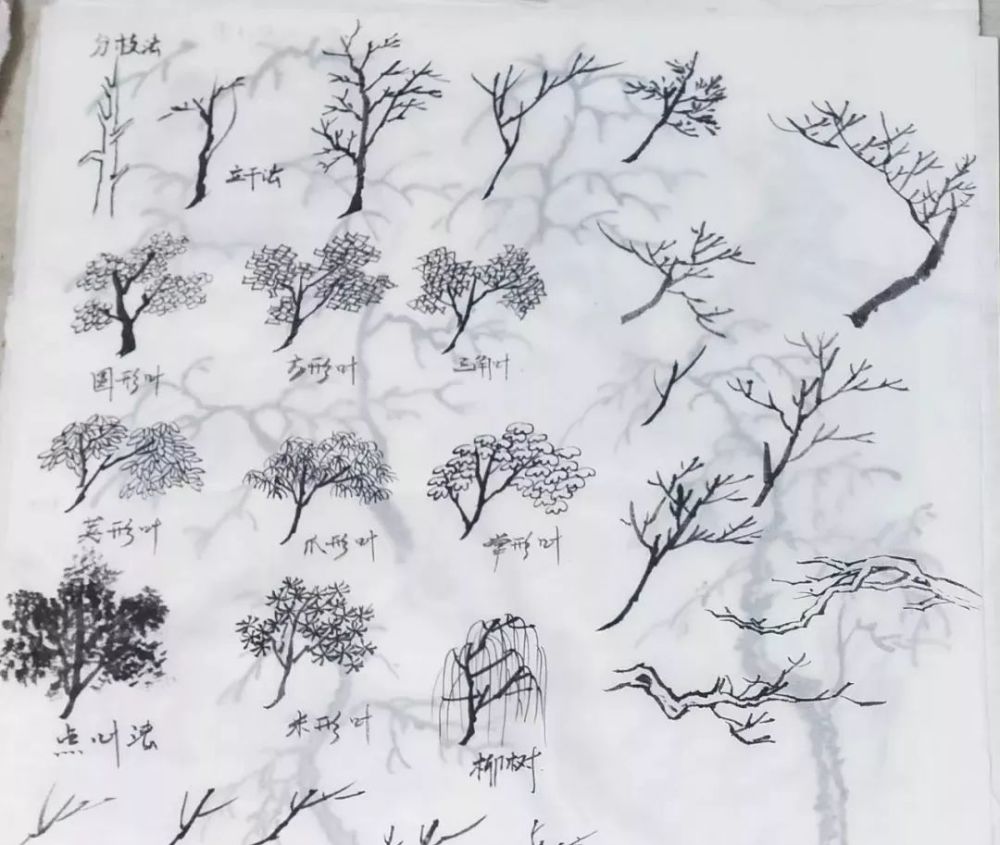 【墨涯国画】山水素材(树的画法~)