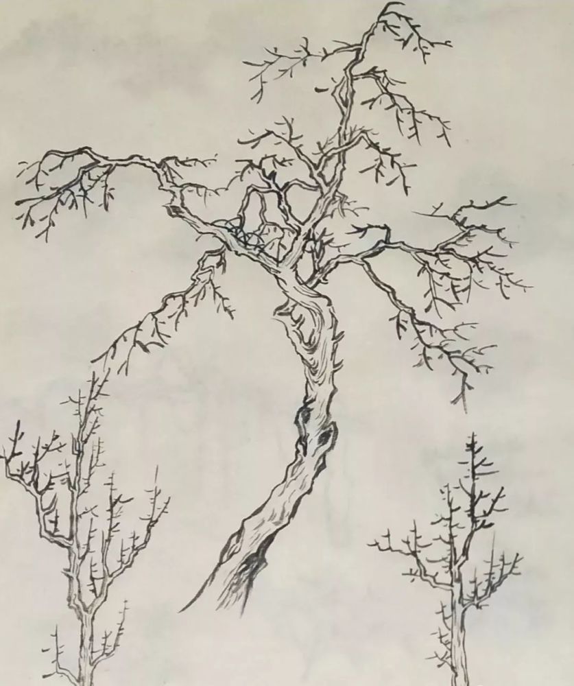 【墨涯国画】山水素材(树的画法~)