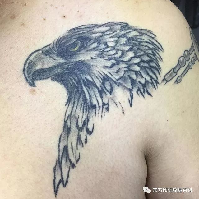 鹰主题纹身——鹰的重生!
