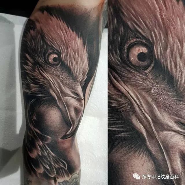鹰主题纹身——鹰的重生!