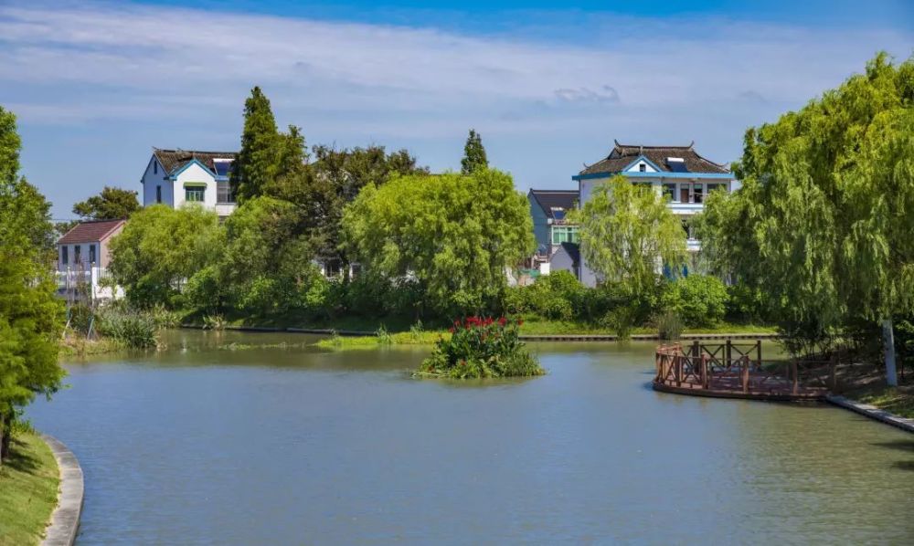 秀水泱泱美丽河湖平湖徐家堰浜