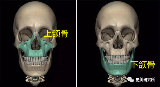 fa姐说颌面架构大家能get到是什么吧,就是 上颌骨和下颌骨的位置关系