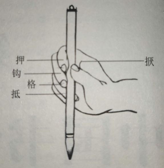 学毛笔的注意,你执笔的姿势对吗?反正我开始拿笔是错误的
