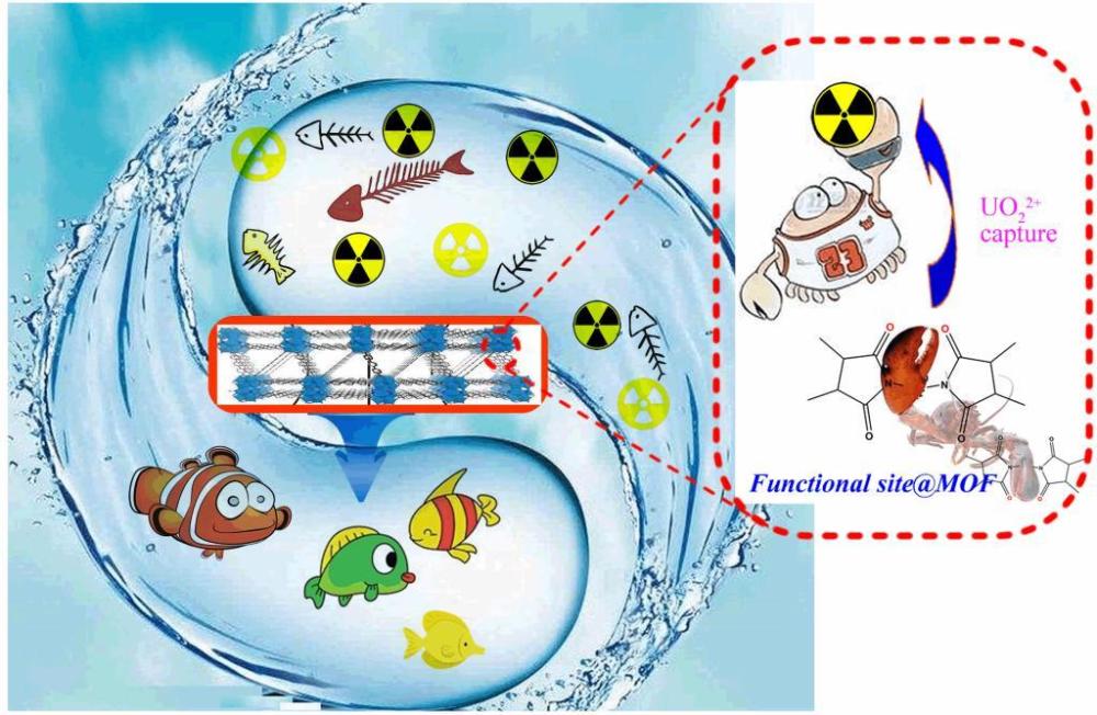 南华大学利用mofs材料实现对放射性重金属离子的高效捕获