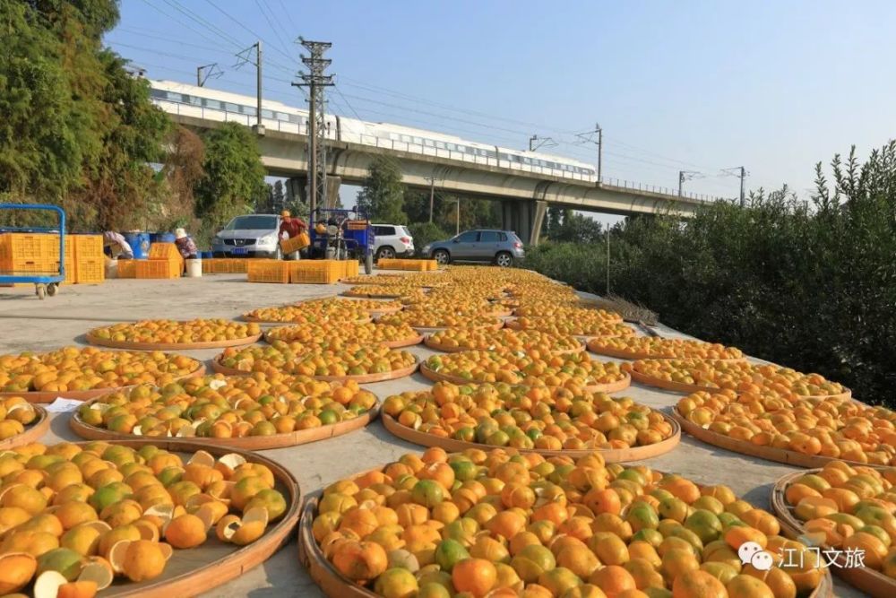 新会西甲村